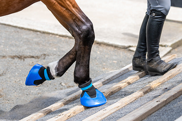 Tubbease Hoof Socks
