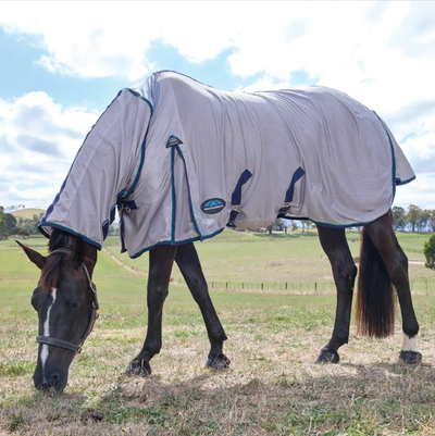 Weatherbeeta Comfitec Zephyr Fly Sheet - New