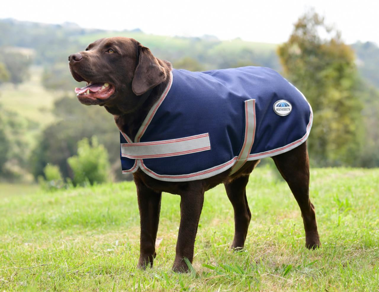 Weatherbeeta ComFiTec EssentialPlus Parka Dog Coat