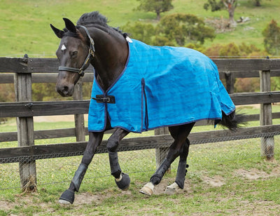 Weatherbeeta Unlined Canvas Standard Neck Rug