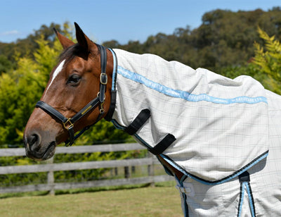 Weatherbeeta Cotton Summer Sheet Combo Cover