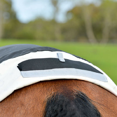 Weatherbeeta Cotton Summer Sheet Combo Neck - Umbrella Print