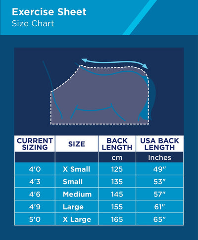 WeatherBeeta Exercise Fleece Rug