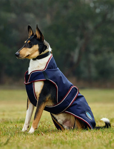 Weatherbeeta Comfitec Premier Deluxe Waterproof Dog Coat