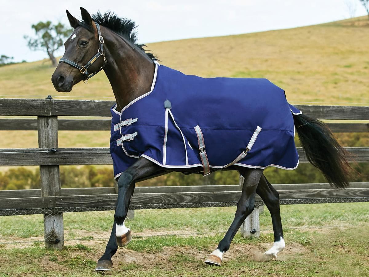 Weatherbeeta ComFiTec Essential Standard Neck Rug - Lite Plus