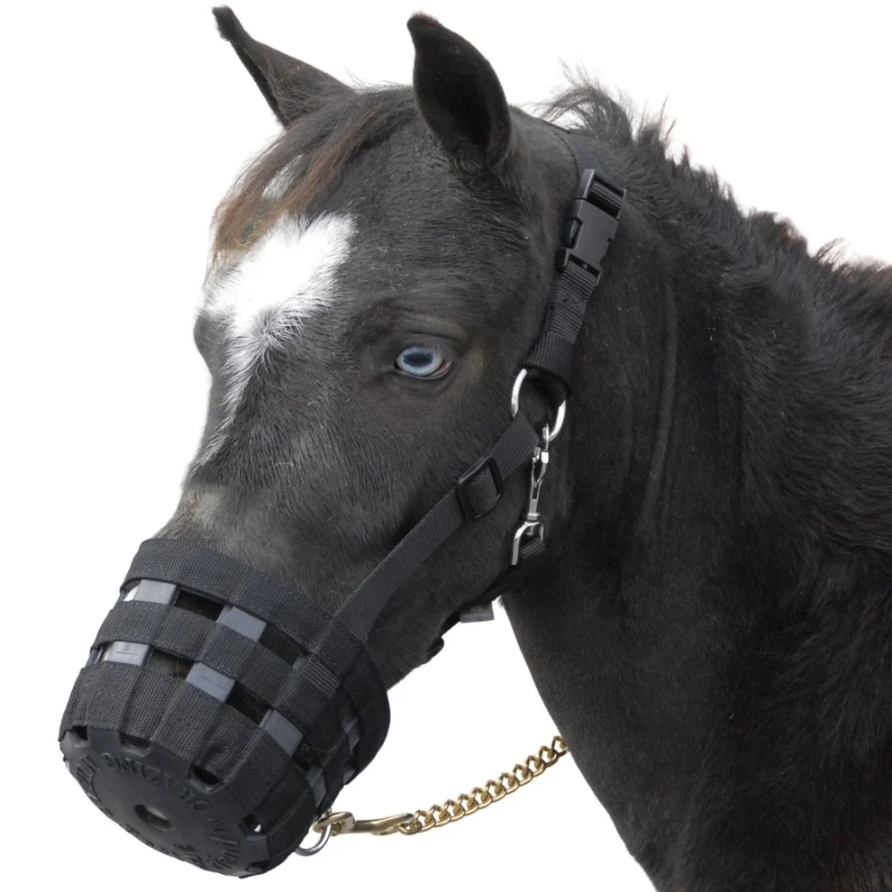Best Friend Grazing Muzzle