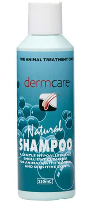 Dermcare Natural Shampoo