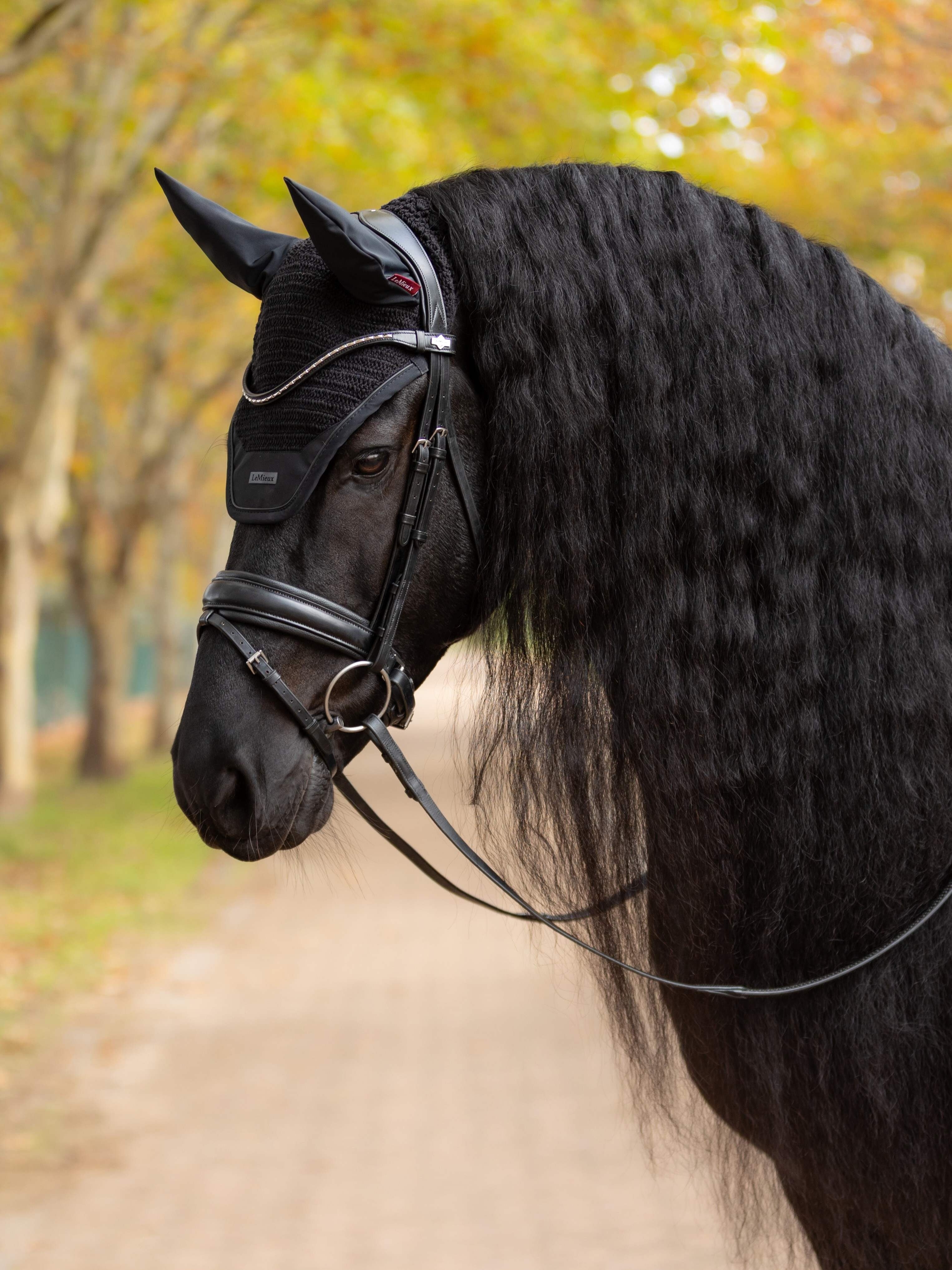 LeMieux Essence Acoustic Fly Hood