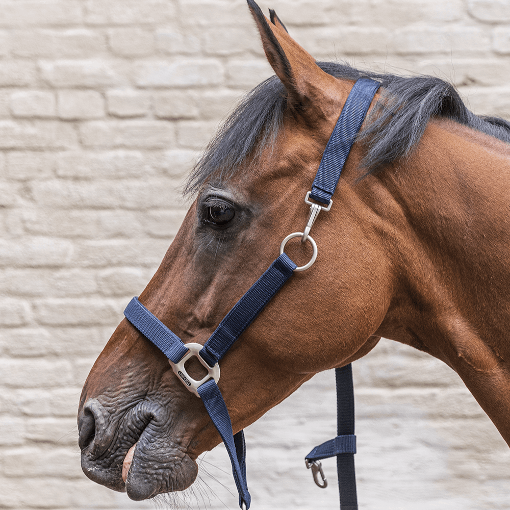 Lami-Cell Grooming Halter