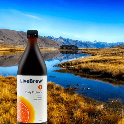 Live Brew 1Ltr (Organic Probiotic for Humans)