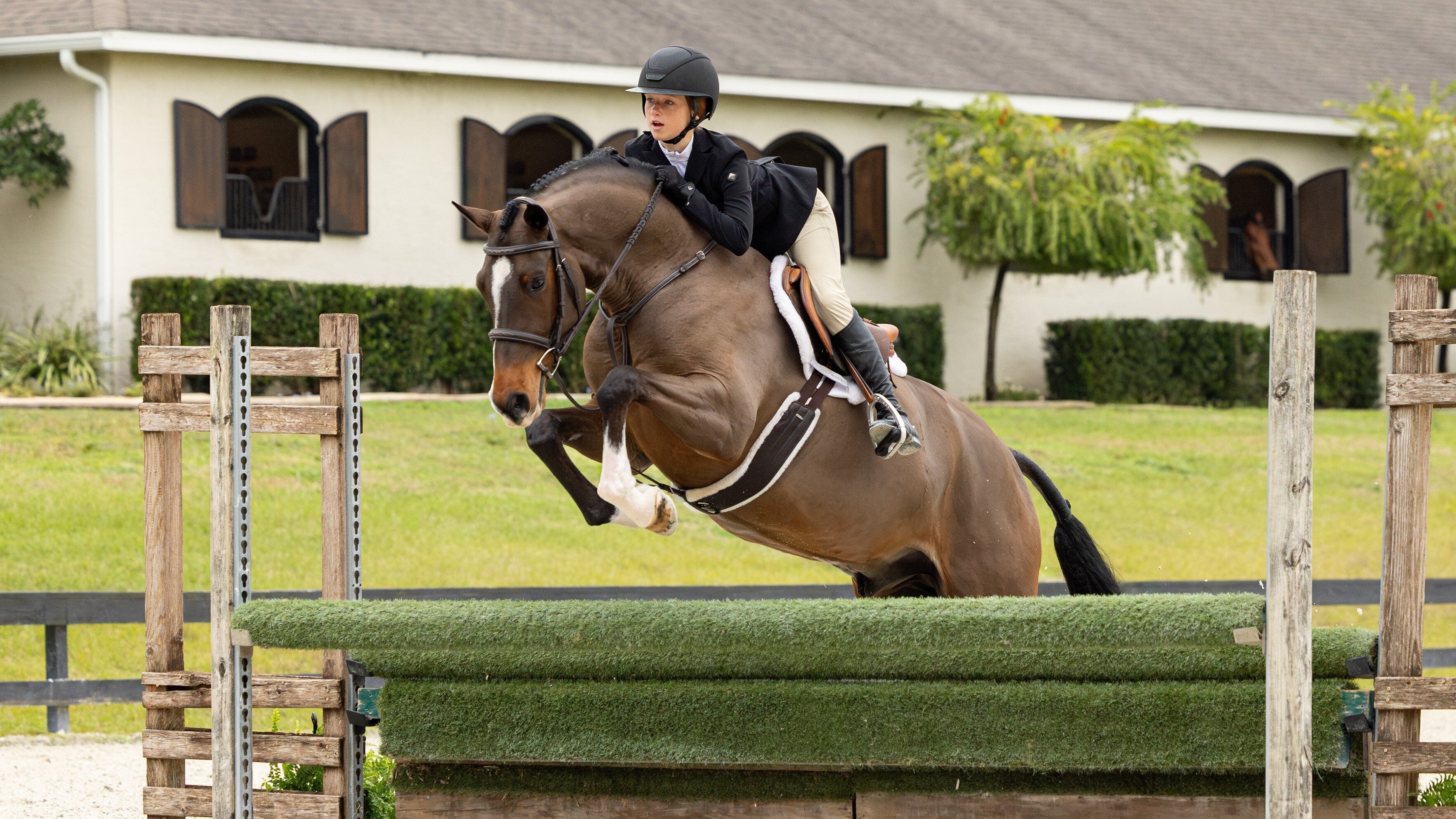 LeMieux Merino + Hunter Saddle Pad