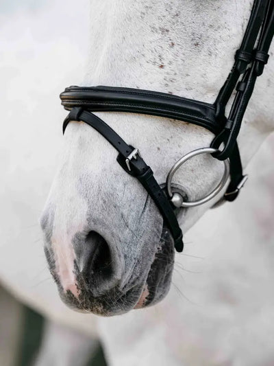 LeMieux Arika Anatomic Flash Bridle