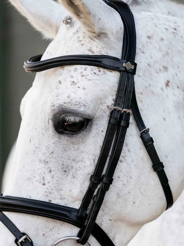 LeMieux Arika Anatomic Flash Bridle