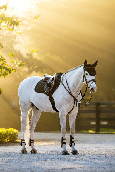 LeMieux Brilliance Close Contact Square Saddle Pad