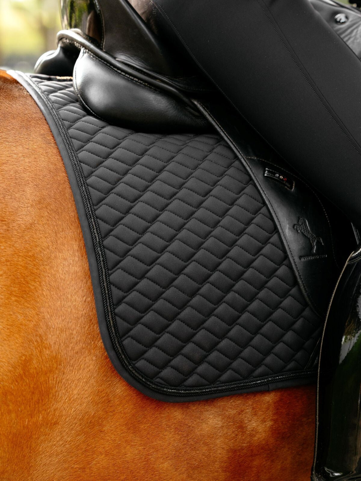LeMieux Brilliance Dressage Square Saddle Pad