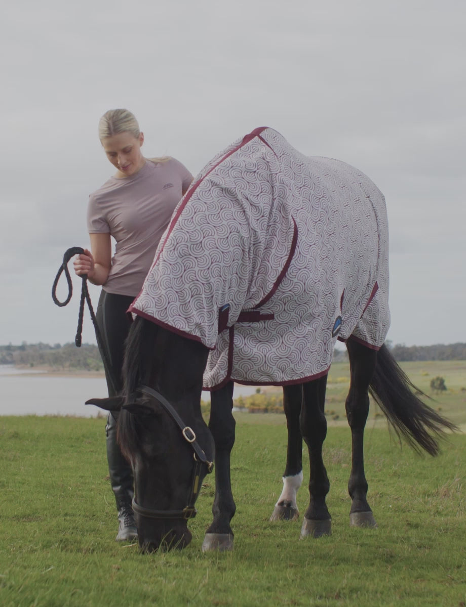 Load video: Limited Edition Mesh Fly Rug Video