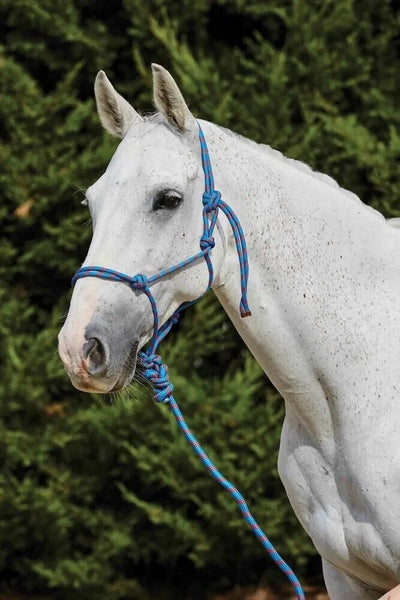 Saxon 2 Tone Rope Headcollar & Lead