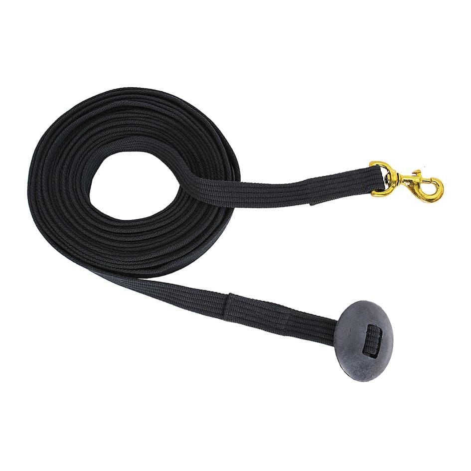 Flair Lunge Lead