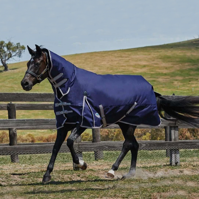 Weatherbeeta ComFiTec Essential Combo Lite Plus 50g