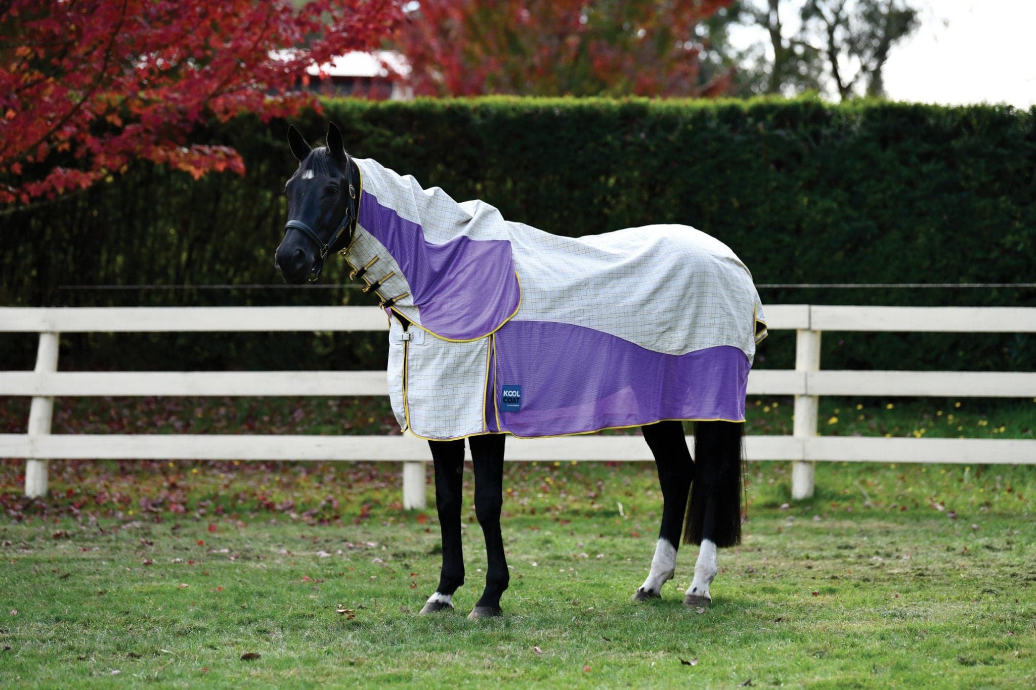 Kool Coat Cotton Airstream - 2022