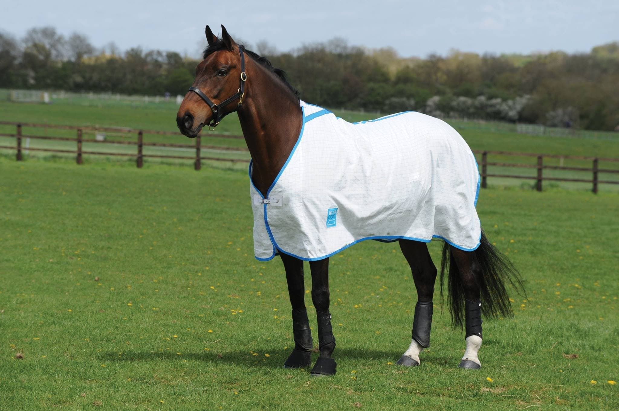 Kool Coat Standard Neck Lite III