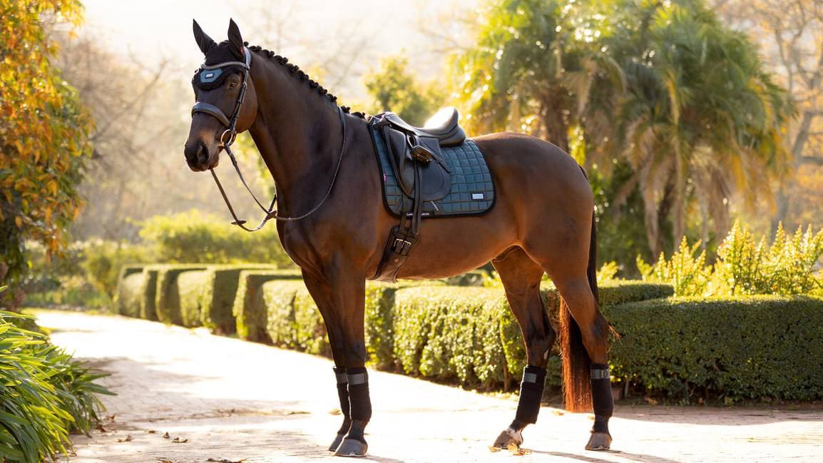 LeMieux Rhone Dressage Square