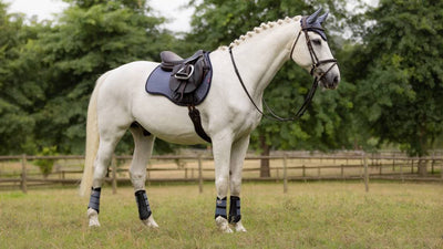 LeMieux Suede General Purpose Square - Spring 24