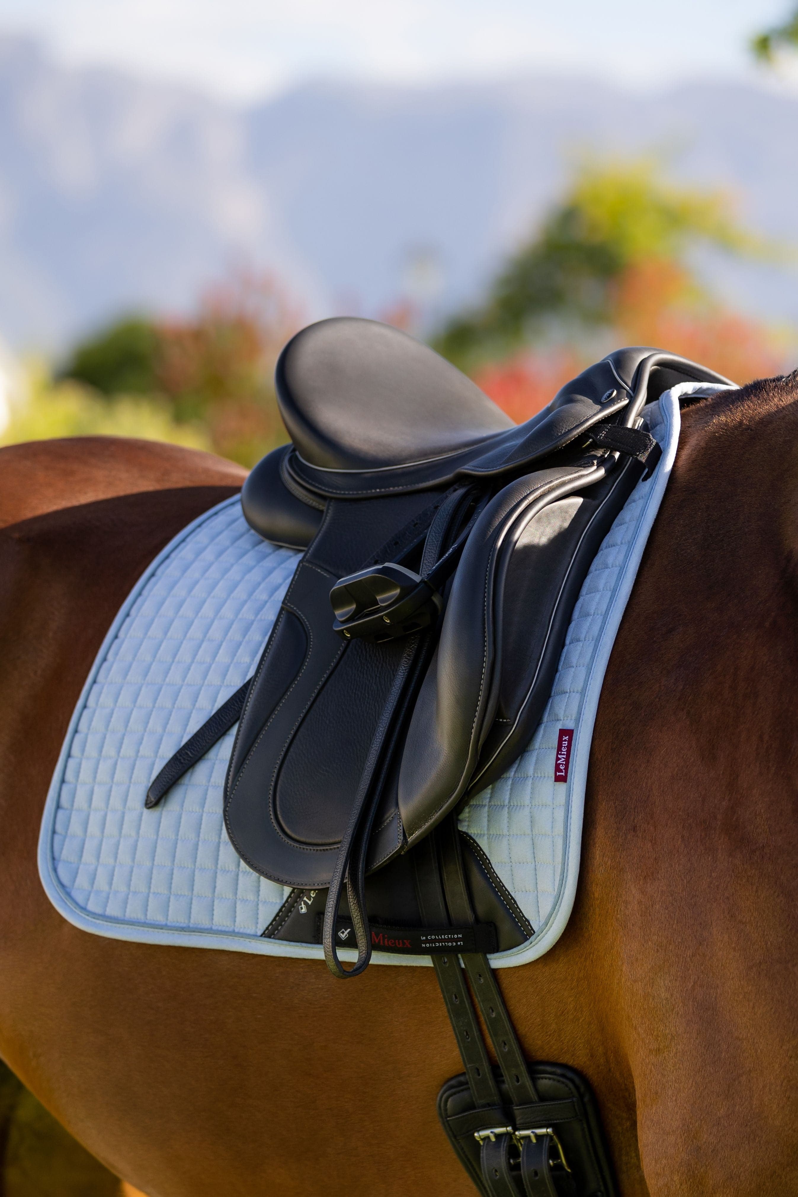 LeMieux Suede Dressage Square - SS23