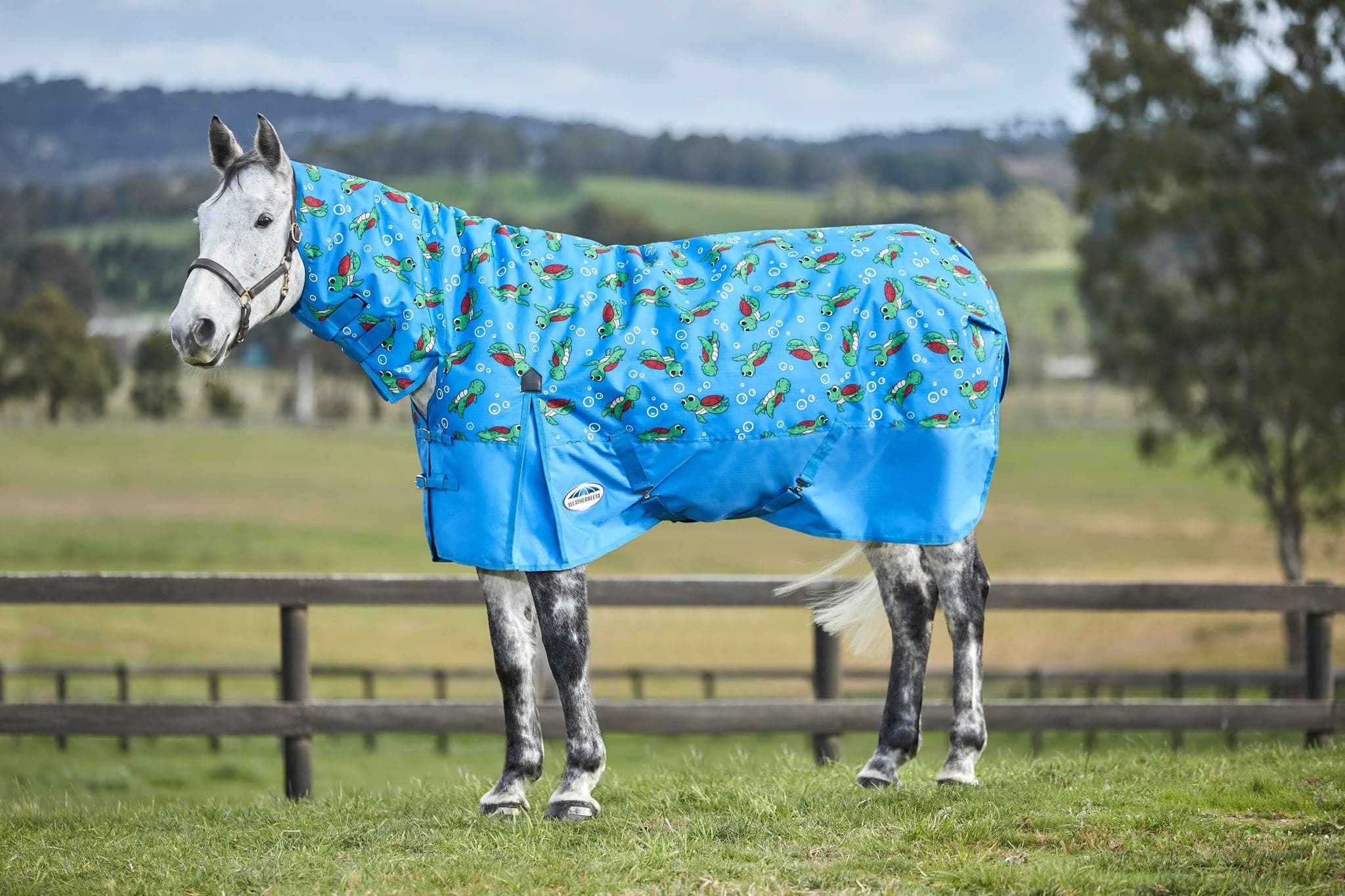 Weatherbeeta ComFiTec Essential Combo Neck Medium - Turtle Print