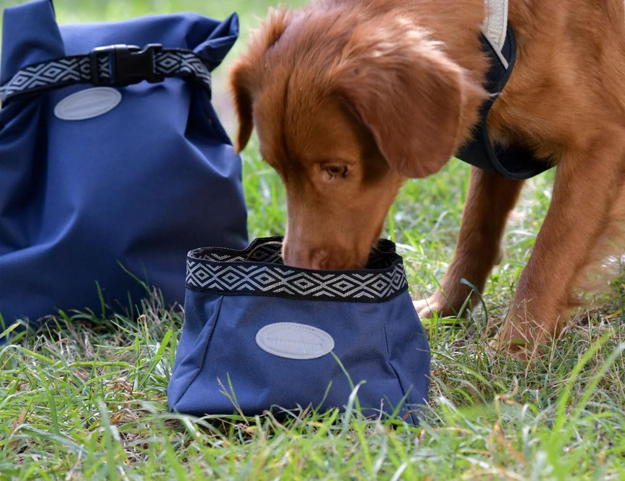 Weatherbeeta Explorer Water/Feeder Bowl