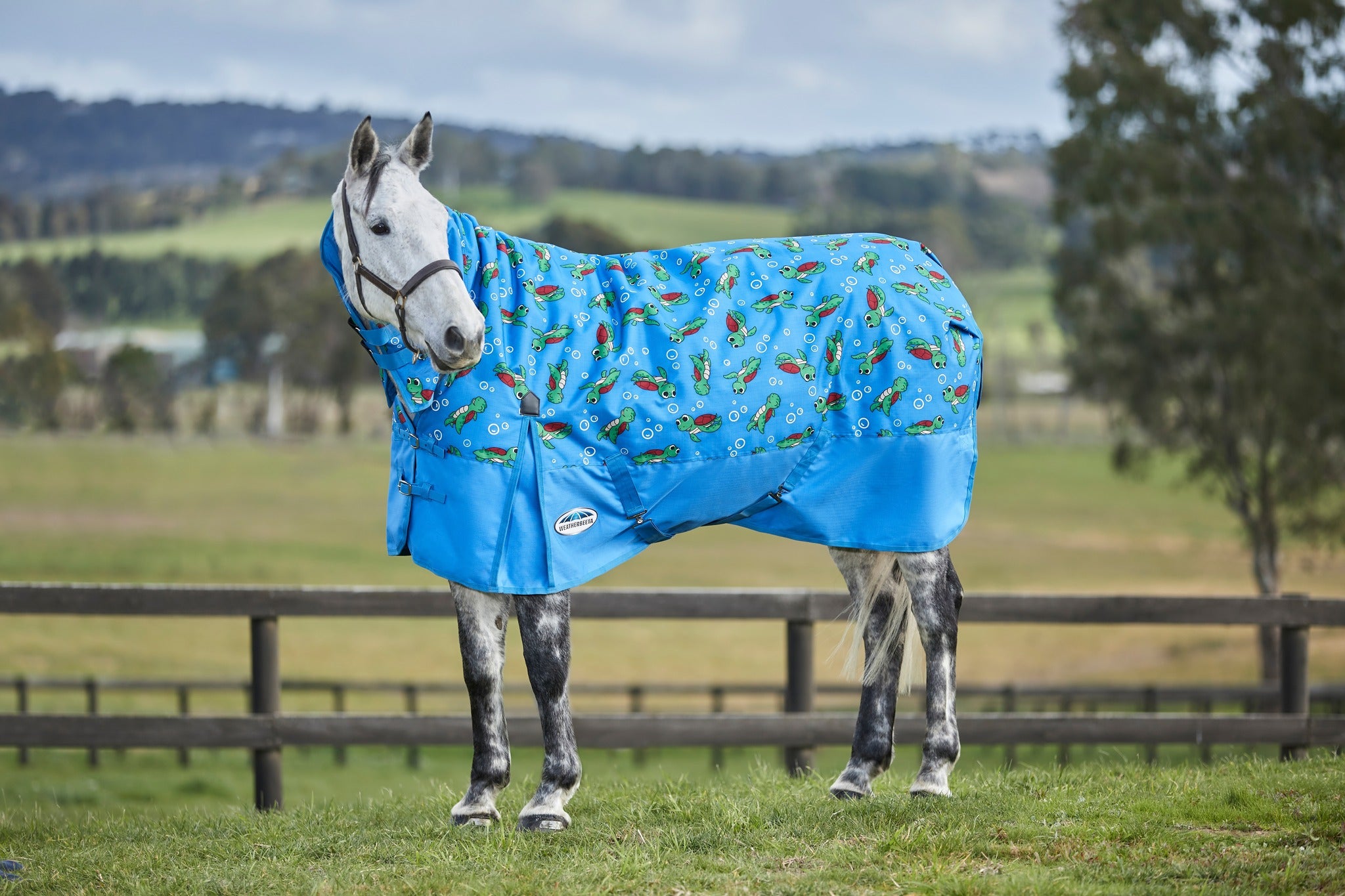 Weatherbeeta ComFiTec Essential Combo Neck Medium - Turtle Print