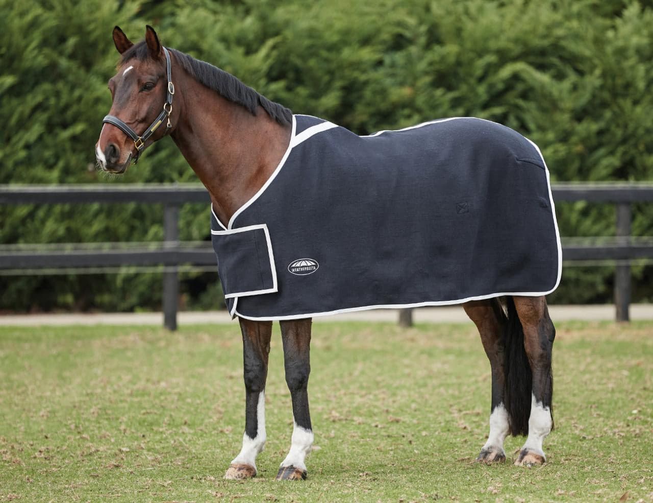 Weatherbeeta Wool with Chest Panel Standard Neck