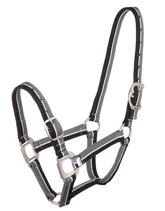 Zilco Web Striped Halter