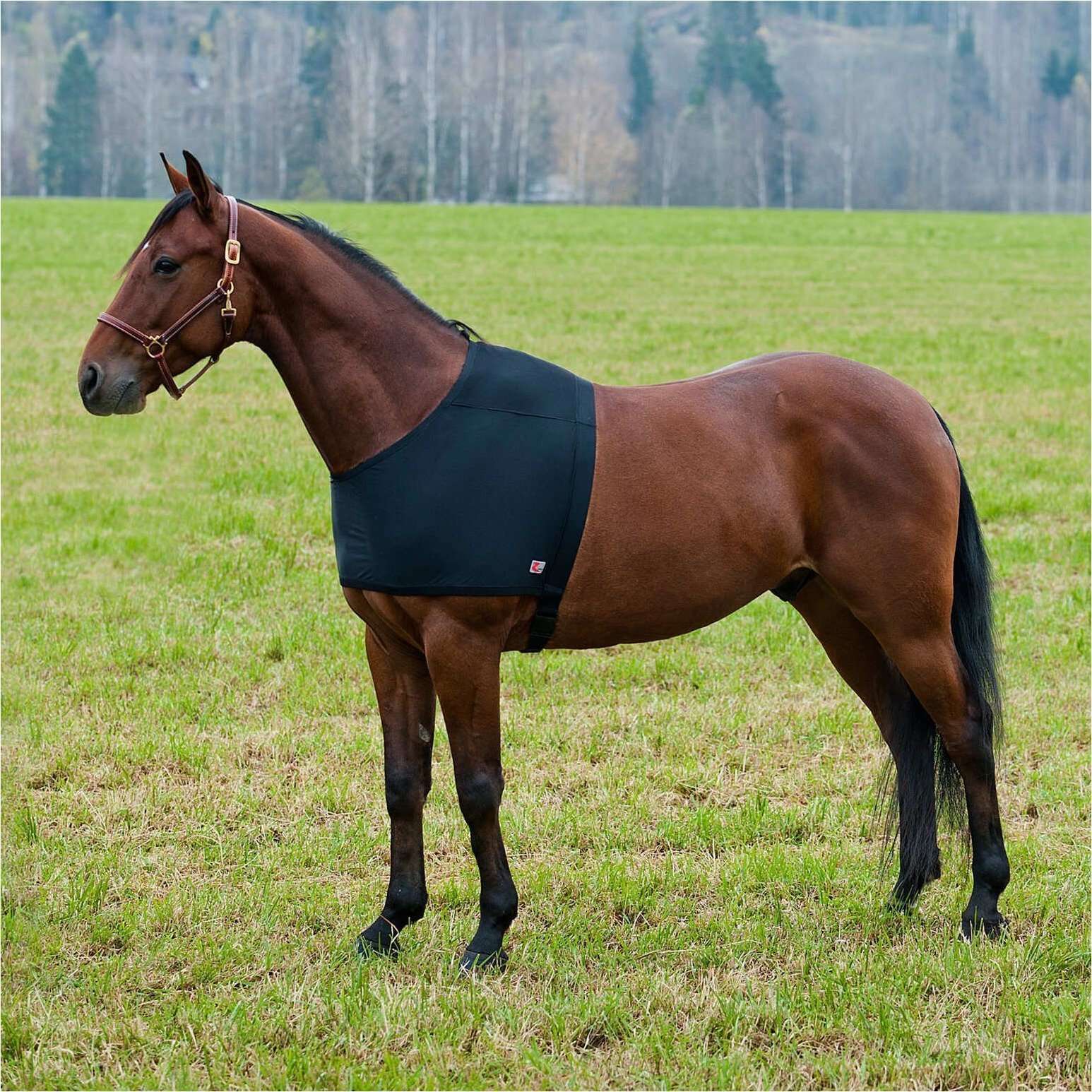 Horze Comforce Shoulder Rug