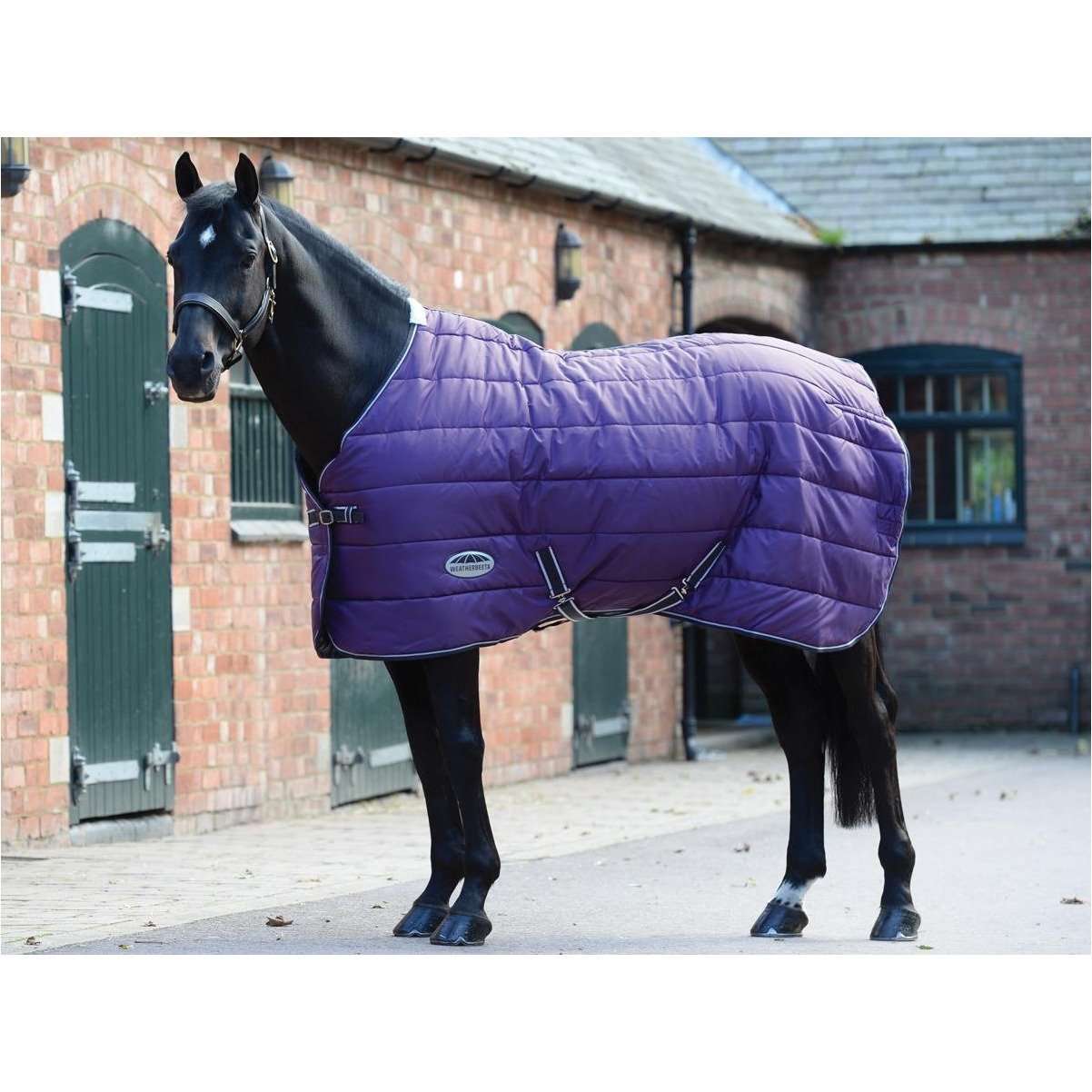Weatherbeeta Comfitec 210D Channel Quilt - Medium Purple