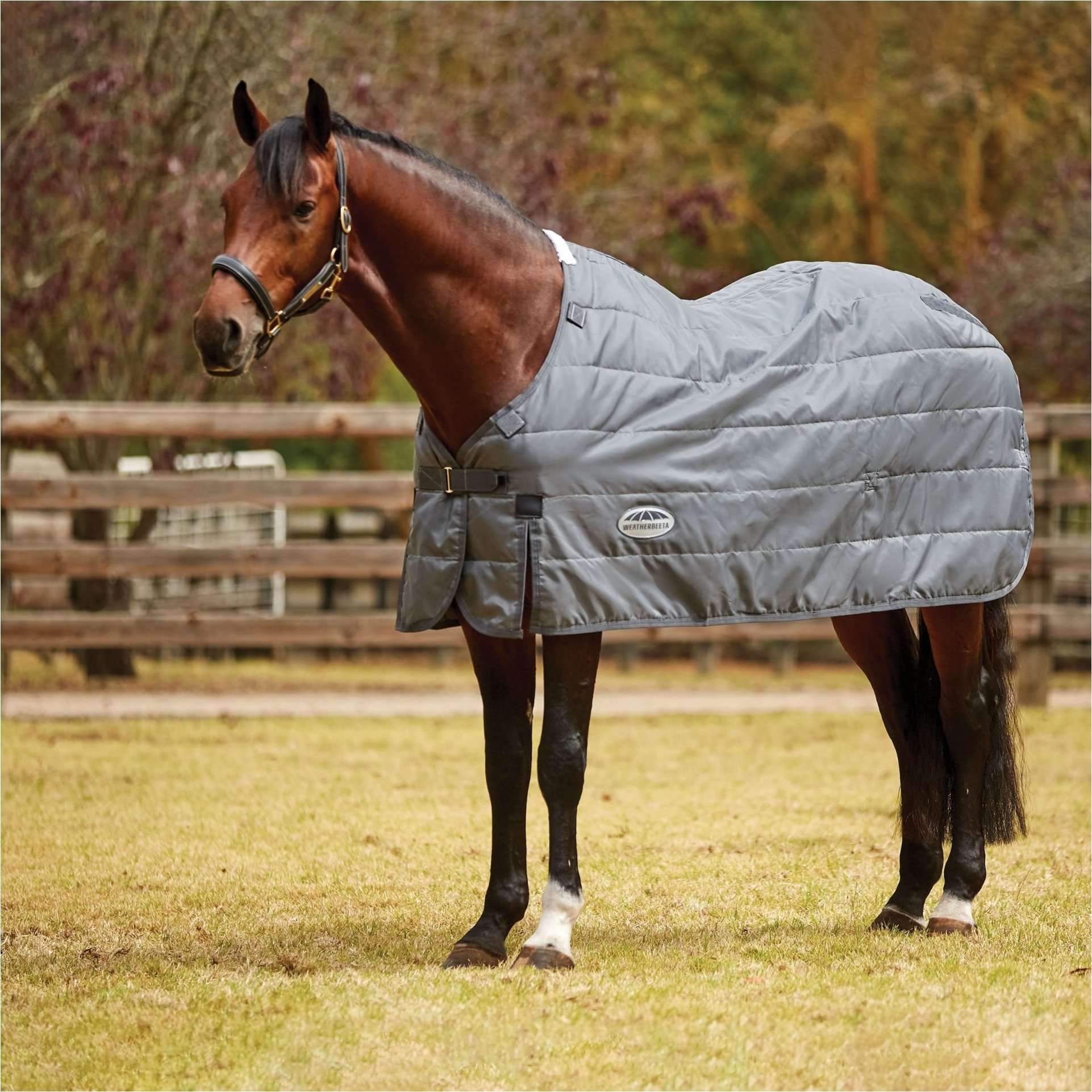 WeatherBeeta ComFiTec Liner Lite Plus